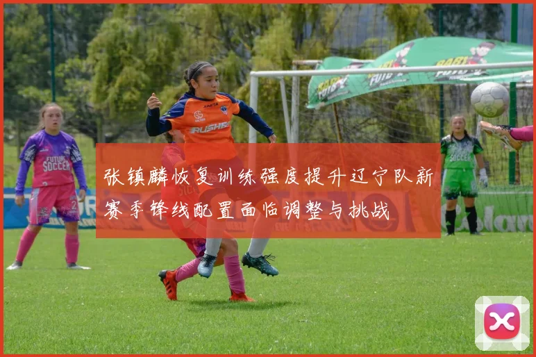 张镇麟恢复训练强度提升辽宁队新赛季锋线配置面临调整与挑战