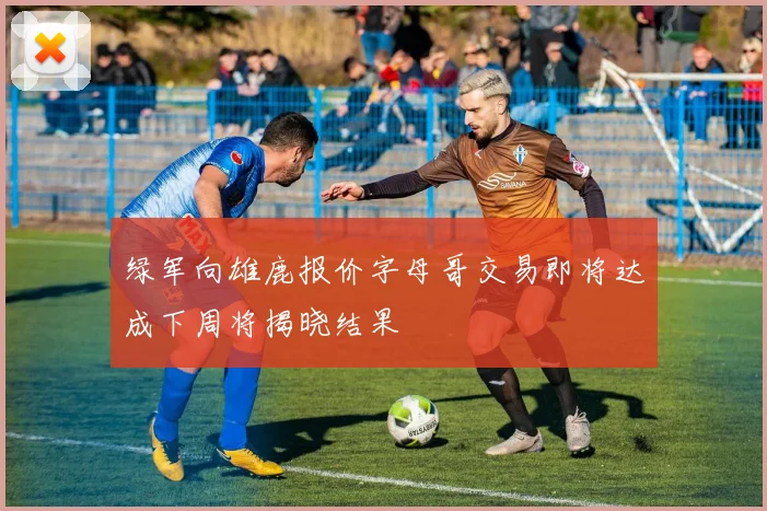 绿军向雄鹿报价字母哥交易即将达成下周将揭晓结果